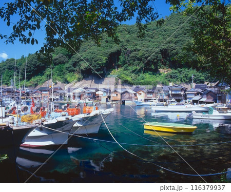 伊根の舟屋(伊根浦)/国指定重要伝統的建造物群保存地区/京都府与謝郡伊根町 伊根の舟屋(伊根浦)/国指定重要伝統的建造物群保存地区/京都府与謝郡伊根町 116379937