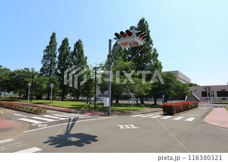 宮城　角田　UFO信号機 116380321