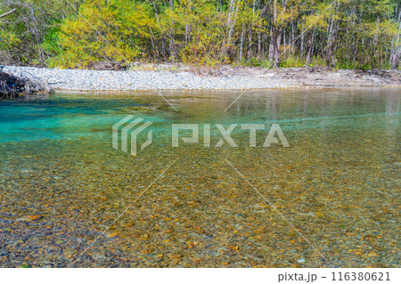 【秋素材】錦秋の上高地・梓川の清流【長野県】 【秋素材】錦秋の上高地・梓川の清流【長野県】 116380621
