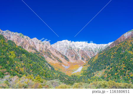 【秋素材】錦秋の上高地・梓川の清流【長野県】 116380651