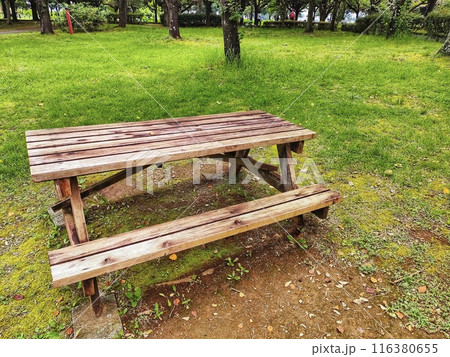 公園の木製ベンチ 公園の木製ベンチ 116380655