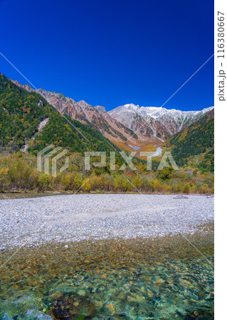 【秋素材】錦秋の上高地・梓川の清流【長野県】 116380667