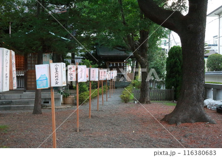 日枝神社のぼんぼり祭り 116380683