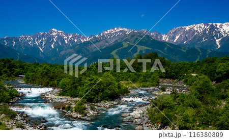 残雪の北アルプスと松川　長野県白馬村 116380809