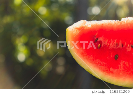 Fresh juicy red watermelon slice in hands on background of outdoor garden in summertime during sunset. Concept of summer holidays and vacation. Slow-living 116381209