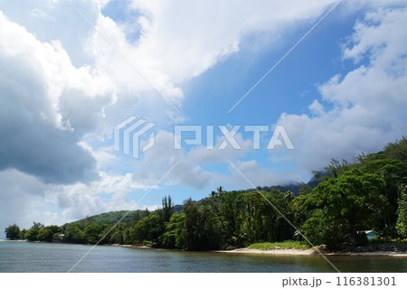 モーレア島の風景 116381301