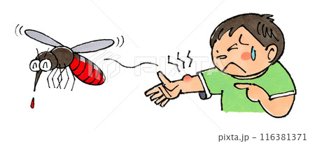 蚊に刺された男の子 蚊に刺された男の子 116381371