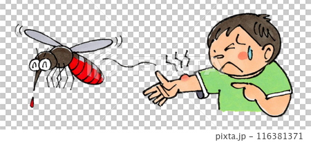 蚊に刺された男の子 蚊に刺された男の子 116381371