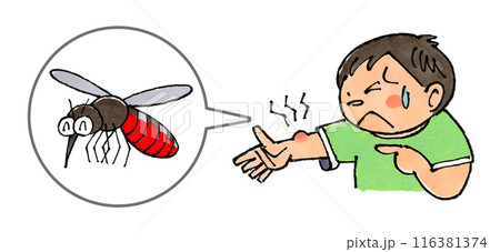 蚊に刺された男の子 116381374