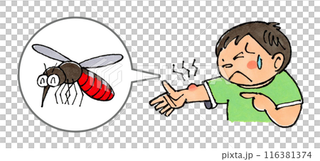 蚊に刺された男の子 116381374