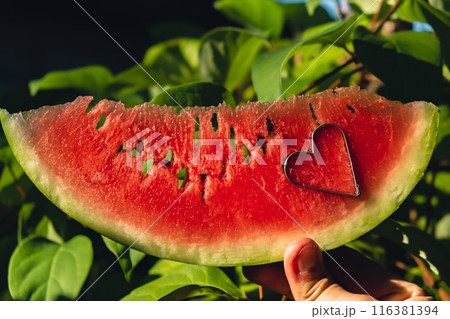 Man holding red watermelon slice in green garden background. Sunset outdoors summer day. Healthy seasonal local food Man holding red watermelon slice in green garden background. Sunset outdoors summer day. Healthy seasonal local food 116381394