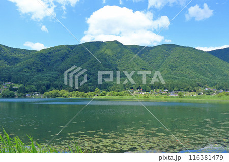 夏の木崎湖 夏の木崎湖 116381479