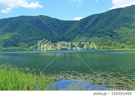 夏の木崎湖 116381480