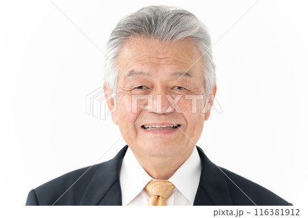 ビジネス シニア男性 弁護士 ビジネス シニア男性 弁護士 116381912