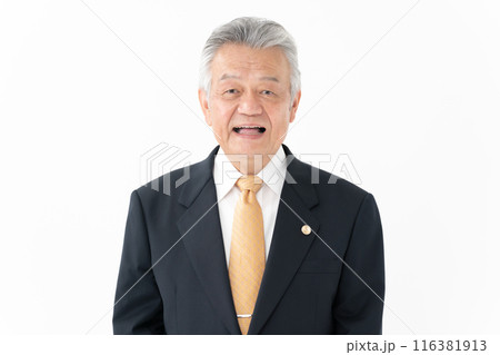 ビジネス シニア男性 弁護士 ビジネス シニア男性 弁護士 116381913