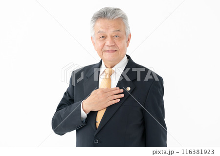 ビジネス シニア男性 弁護士 ビジネス シニア男性 弁護士 116381923