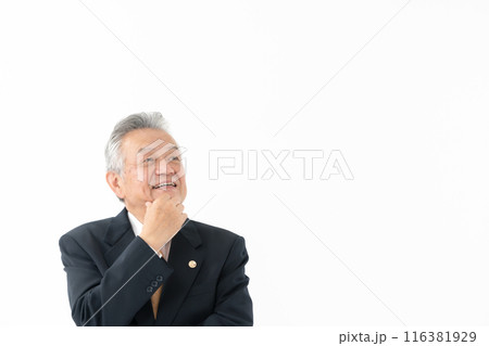 ビジネス　シニア男性　弁護士 116381929