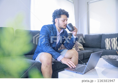 ソファーでパソコン作業をする男性 ソファーでパソコン作業をする男性 116381947