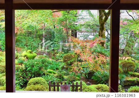 大原 三千院 紅葉の聚碧園(京都市左京区) 大原 三千院 紅葉の聚碧園(京都市左京区) 116381963
