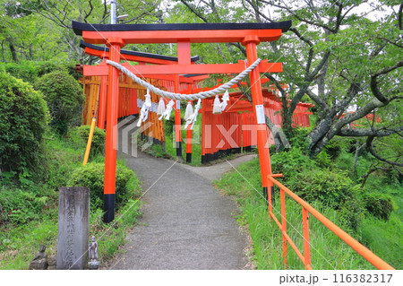 扇森稲荷神社（こうとうさま・竹田市） 116382317