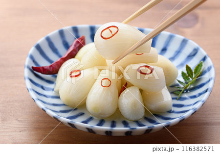 おばあちゃんが漬けた らっきょうの甘酢漬け おばあちゃんが漬けた らっきょうの甘酢漬け 116382571