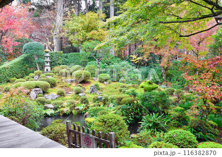 大原　三千院　紅葉の聚碧園（京都市左京区） 116382870