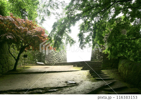 岡城跡・大手門・豊後竹田城(大分県・竹田市) 岡城跡・大手門・豊後竹田城(大分県・竹田市) 116383153