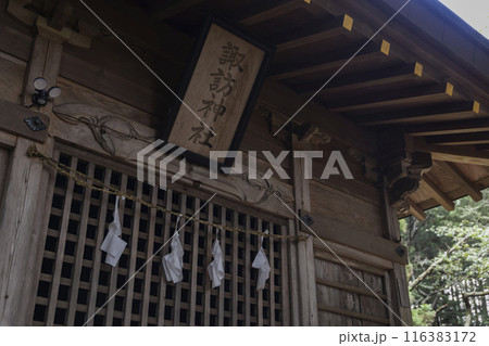 群馬県吾妻郡・諏訪神社の紙垂 116383172