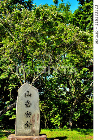 神奈川県 丹沢大山国定公園 見晴台からの風景 116383323