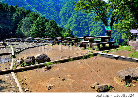 神奈川県 丹沢大山国定公園 見晴台からの風景 神奈川県 丹沢大山国定公園 見晴台からの風景 116383324