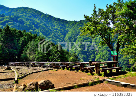 神奈川県 丹沢大山国定公園 見晴台からの風景 116383325