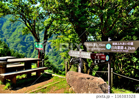 神奈川県 丹沢大山国定公園 見晴台からの風景 116383328