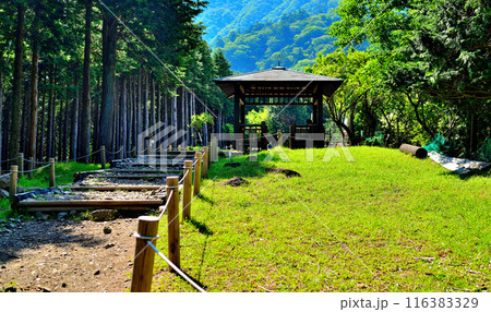 神奈川県 丹沢大山国定公園 見晴台からの風景 神奈川県 丹沢大山国定公園 見晴台からの風景 116383329