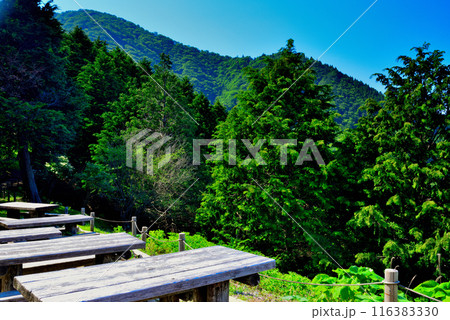 神奈川県 丹沢大山国定公園 見晴台からの風景 116383330