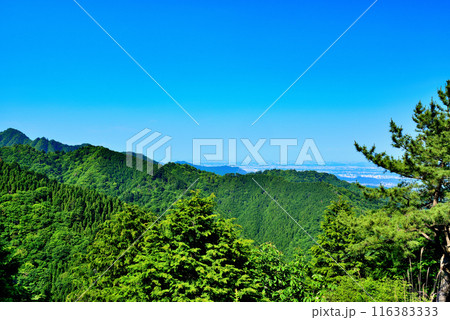 神奈川県 丹沢大山国定公園 見晴台からの風景 神奈川県 丹沢大山国定公園 見晴台からの風景 116383333