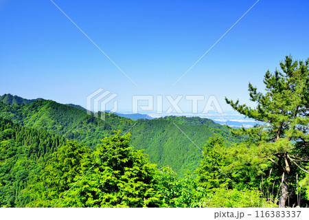 神奈川県 丹沢大山国定公園 見晴台からの風景 116383337