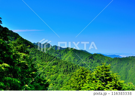 神奈川県 丹沢大山国定公園 見晴台からの風景 116383338