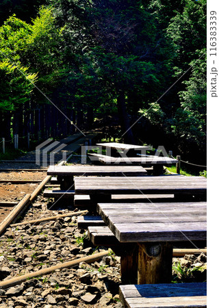 神奈川県 丹沢大山国定公園 見晴台からの風景 116383339