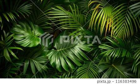 緑豊かなヤシの葉が画面いっぱいに広がる背景用テクスチャーのリアルイラスト 116383496