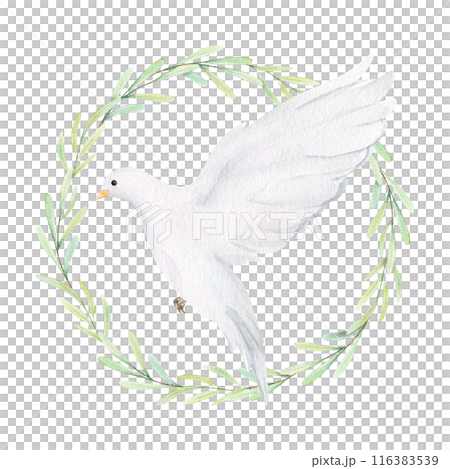 Watercolor white dove and olive branches. White birds in laurel wreath. Pigeon clip art. Hand drawn illustration isolated on background. Decorative design elements. 116383539