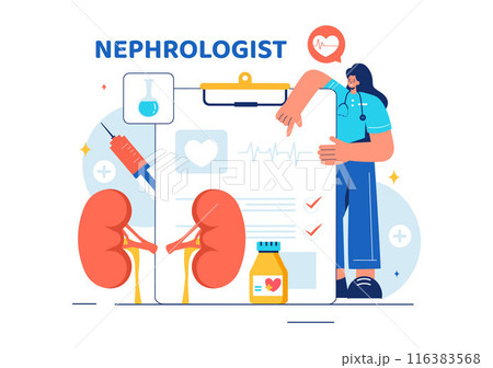 Nephrologist Vector Illustration featuring a Cardiologist, Proctologist, and Kidney Treatment on a Flat Style Cartoon Healthcare Background 116383568
