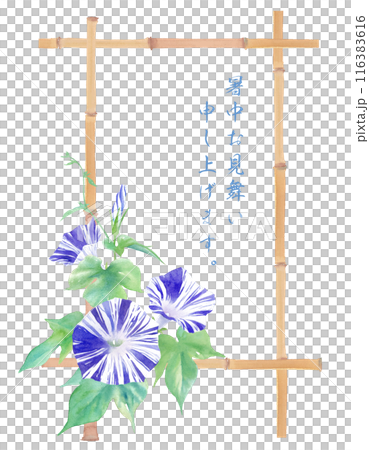由牽牛花(江戶紫色)和竹子的水彩插圖組成的日式框架設計。夏天的形象。 由牽牛花(江戶紫色)和竹子的水彩插圖組成的日式框架設計。夏天的形象。 116383616
