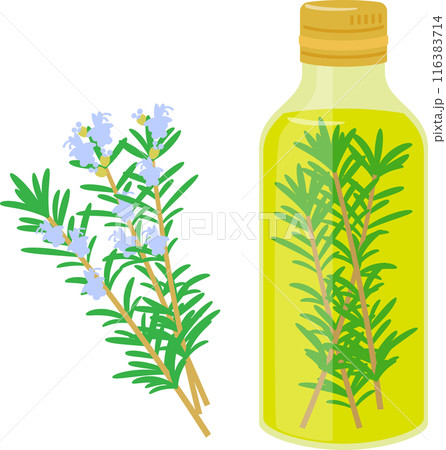 オイルに漬けたローズマリー 116383714