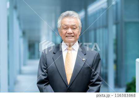 ビジネス　シニア男性　弁護士　屋外 116383868