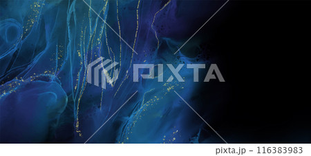 Elegant banner template design with color paint. 116383983