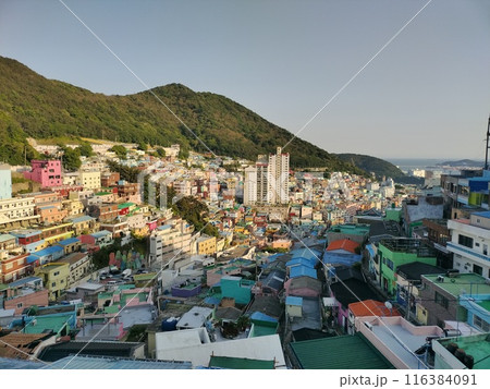 釜山　甘川文化村のカラフルな街並み 116384091