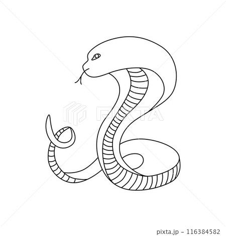 Snake line - symbol Chinese oriental New Year 2025 symbol. Vector stock hand drawing illustration for design template tattoo or congratulations greeting card, banner, calendar. Editable stroke. EPS10 Snake line - symbol Chinese oriental New Year 2025 symbol. Vector stock hand drawing illustration for design template tattoo or congratulations greeting card, banner, calendar. Editable stroke. EPS10 116384582