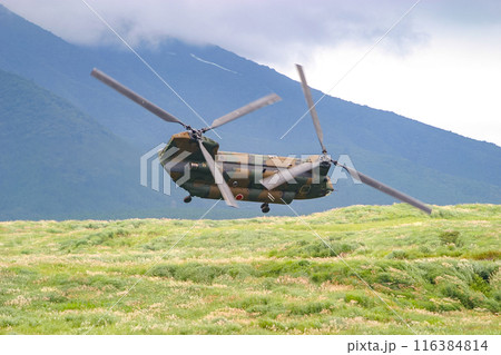 飛行するする陸上自衛隊のヘリコプターCH-47J 飛行するする陸上自衛隊のヘリコプターCH-47J 116384814