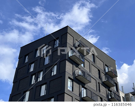 Many modern white cottages with panoramic windows on the background of the park and blue sky. 116385046