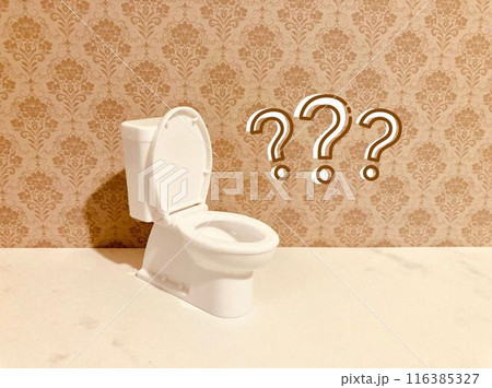 トイレとはてなマーク トイレとはてなマーク 116385327